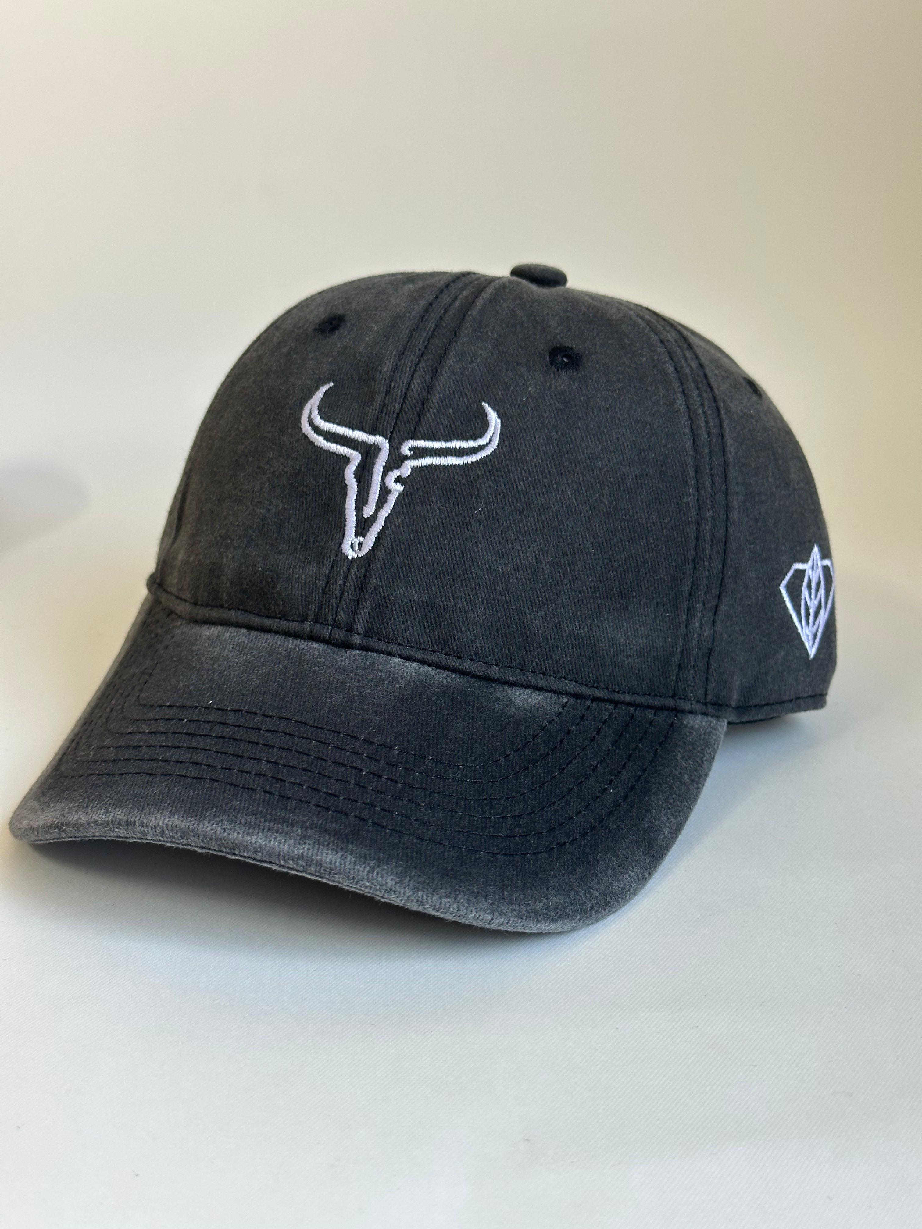 Boné LongHorn