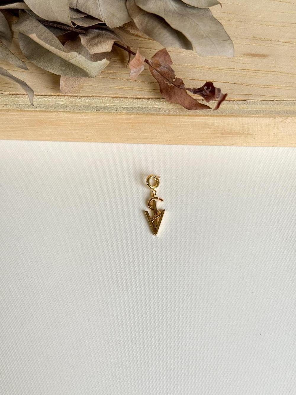 Pingente Medicina Veterinária