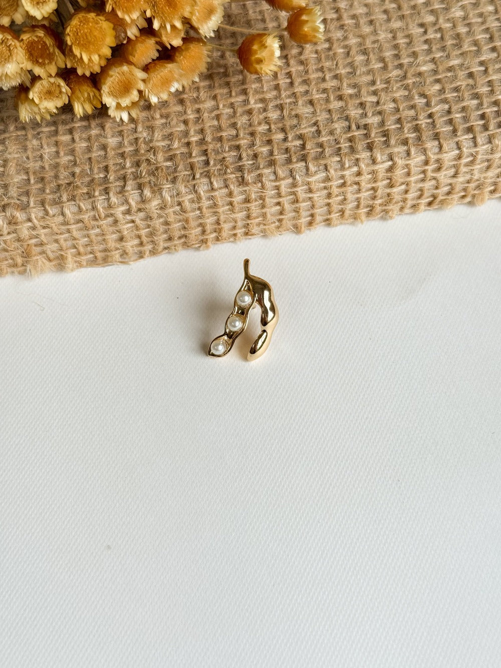 Broche-Soja