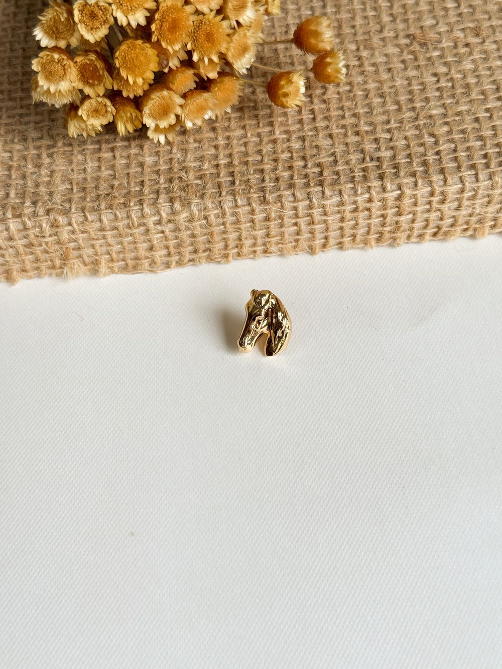 Broche-Cavalo